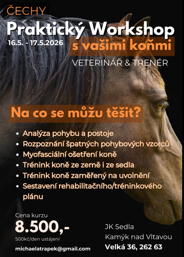 Snímek obrazovky 2026-02-10 175024